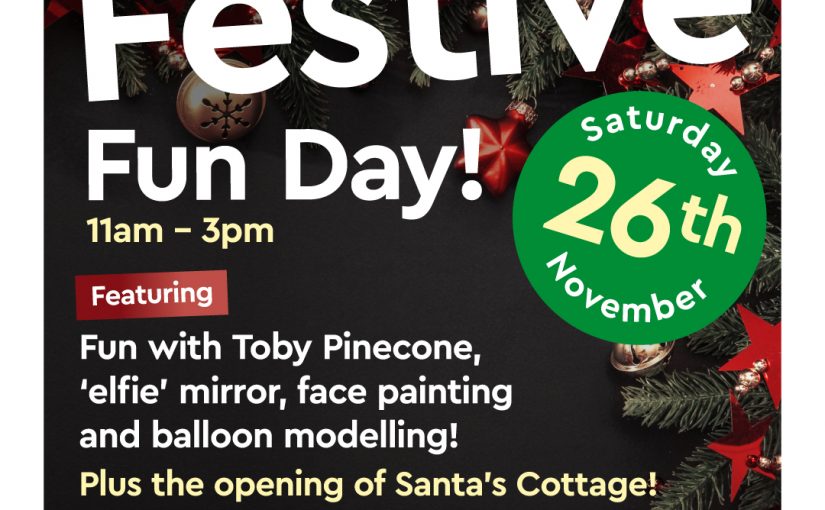 Festive Fun Day
